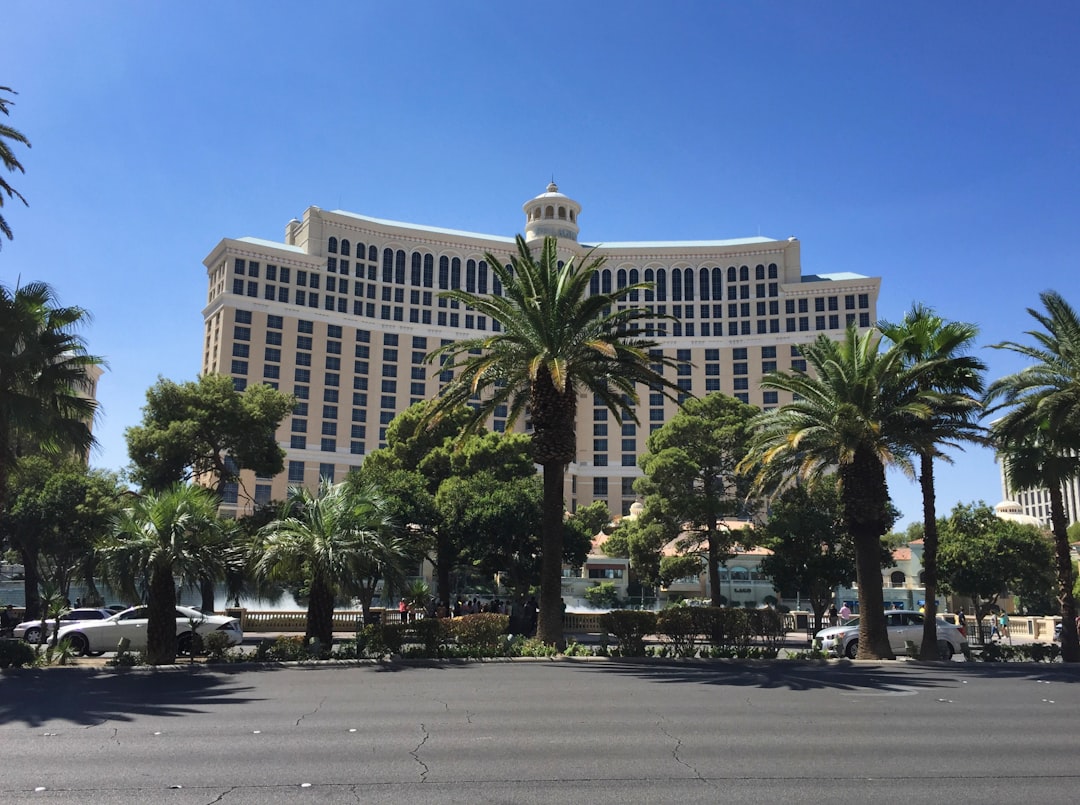 crownmirage-bulkweb-i